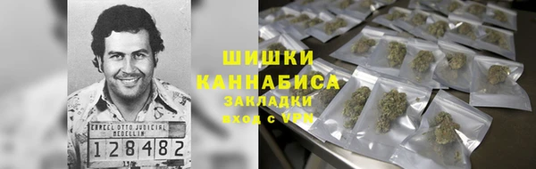 ПСИЛОЦИБИНОВЫЕ ГРИБЫ Верея
