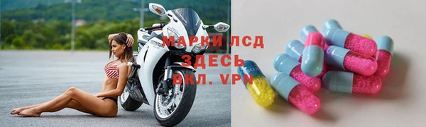 ПСИЛОЦИБИНОВЫЕ ГРИБЫ Верея