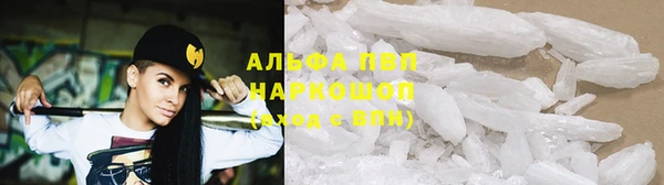 ПСИЛОЦИБИНОВЫЕ ГРИБЫ Верея