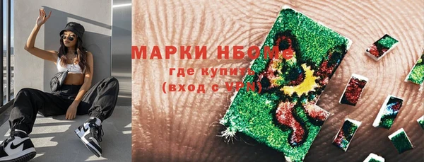 PSILOCYBIN Бородино