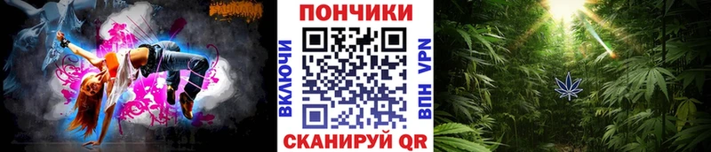 Канабис планчик  Купить закладки  Невьянск 
